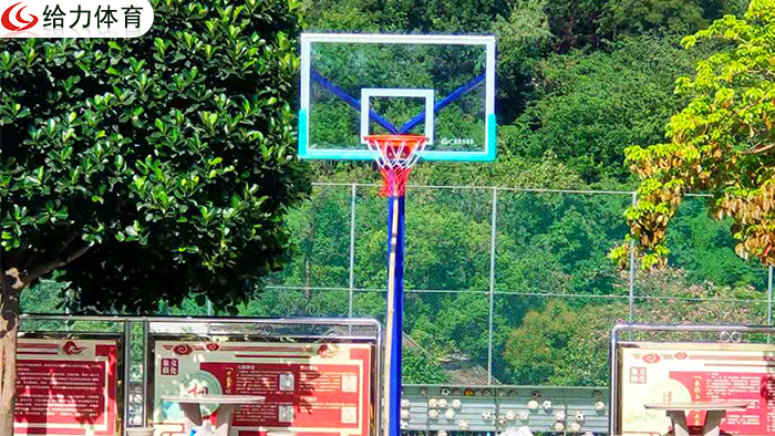 江門學?；@球架